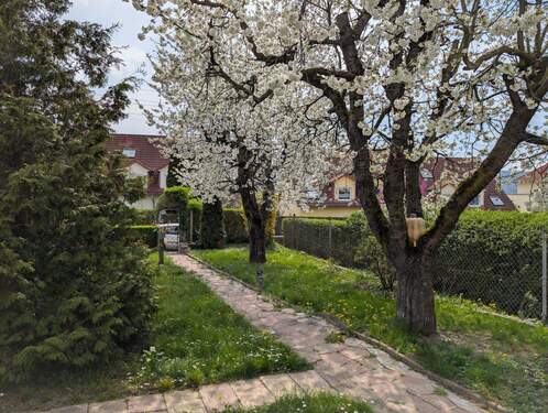 PXL_20250415_124627703 - 
