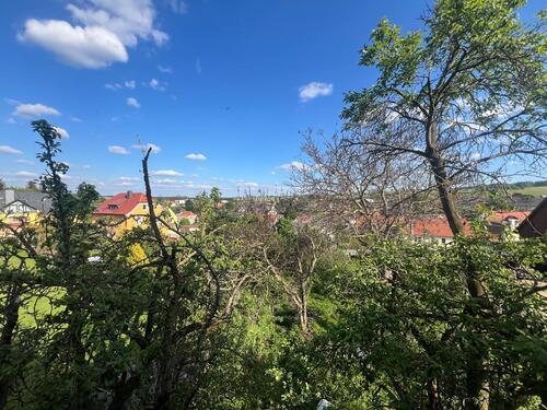 PHOTO-2024-06-14-07-33-41 2.jpg - ***Tolles Grundstück wartet auf Ihre Wohnideen***