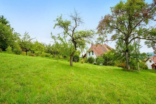 attraktive Wohnlage - 