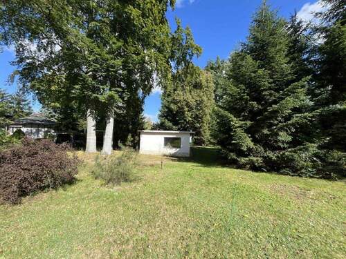 Blick auf das Grundstück - Liegau-Augustusbad: Großes Bauland am Waldrand