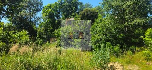 WhatsApp Image 2025-07-02 at 13.09.11 - Mehrgenerationshaus oder Investment Idyllisches Wohnen im Grünen