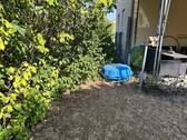 Garten - Etagenwohnung mit 90,00 m² in Steudnitz zum Kaufen