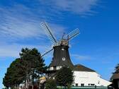 Mühle Carolinensiel.jpg - 