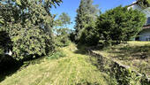 Gartenimpression 1 - 