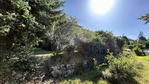 Gartenimpression 2 - 