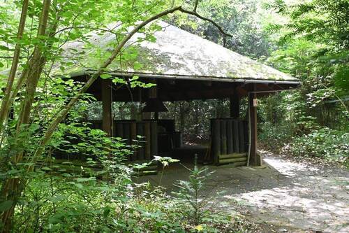 Gemeinschafts Grillplatz - 