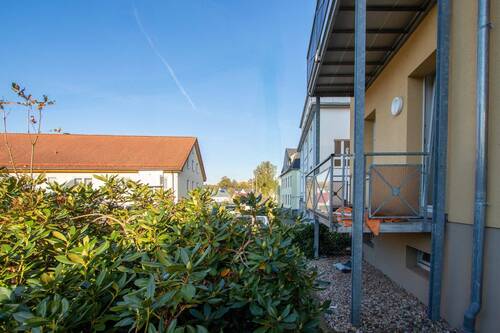 Garten/Hofbereich - 