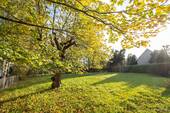Garten/Hofbereich - 