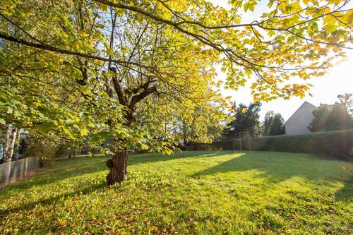 Garten/Hofbereich - 