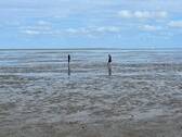 Wattenmeer.jpg - 