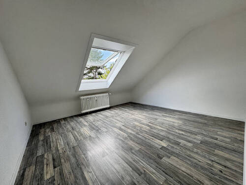Bild8 - 