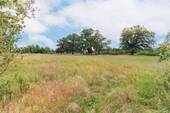 Wiese - 
