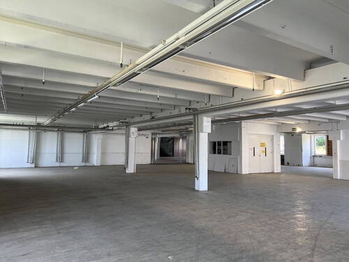 Bild 4 - Halle in Lübbecke zur Miete