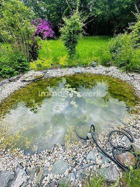 Teich - 