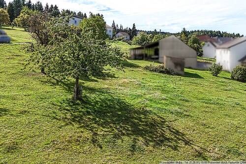 Grundstück am Ortsrand - Grundstück in Wimbach zum Kaufen