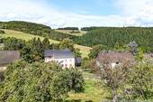 Ausblick ins Grüne - 