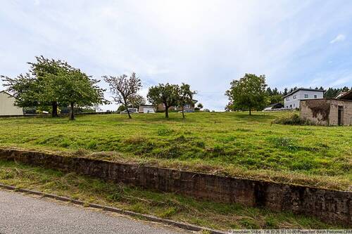 Blick von der Straße unterhalb - 