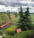 Blick in`s Grüne - 
