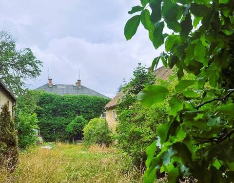 Anwesen im "Dornröschenschlaf" - Anwesen mit Herrenhaus - 60.000,00 EUR Kaufpreis, ca.  308,00 m² Wohnfläche