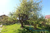 Garten 3 - 