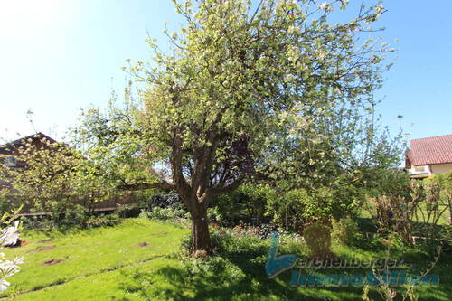 Garten 3 - 