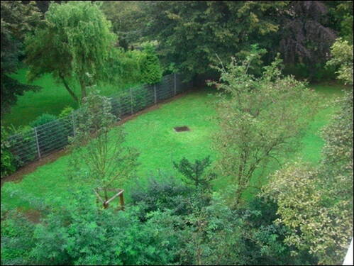Blick in den Garten - 