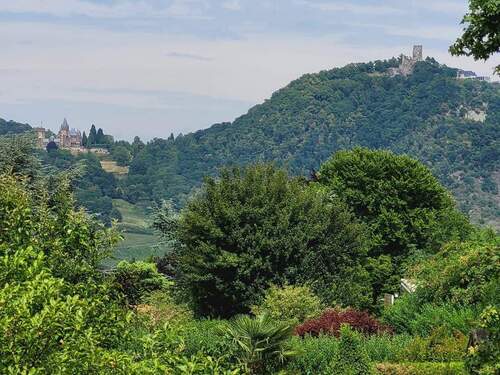 Bild1 - Aussichtsreich am Rodderberghang 1.698 m² Grundstück Bonn-Mehlem