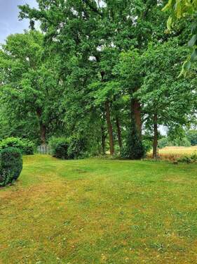 grüne Umgebung zwischen den Häusern.jpg - 2 Zimmer Etagenwohnung zum Kaufen in Bischofswerda