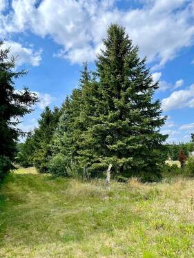 idyllisches Grundstück - 