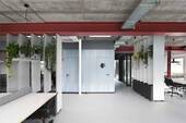 Basic Desk - 