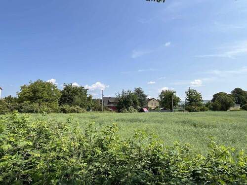 Nahe Wiesen u. Felder - 