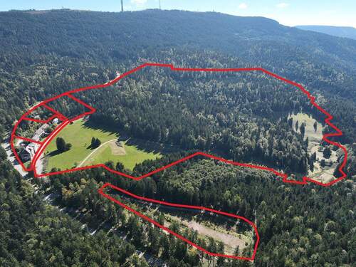 Objekt Gesamtübersicht - 7 Zimmer Mehrfamilienhaus, Wohnhaus zum Kaufen in Sasbachwalden