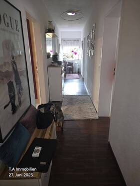 20250627_174204.jpg - 