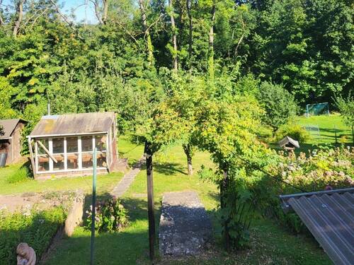 Blick in den Garten - 