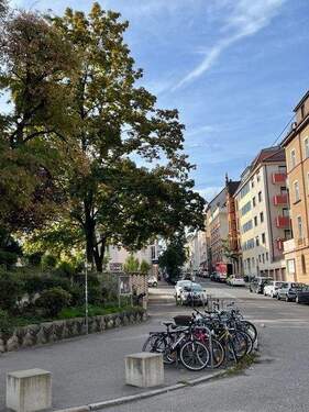 unmittelbare Umgebung - 