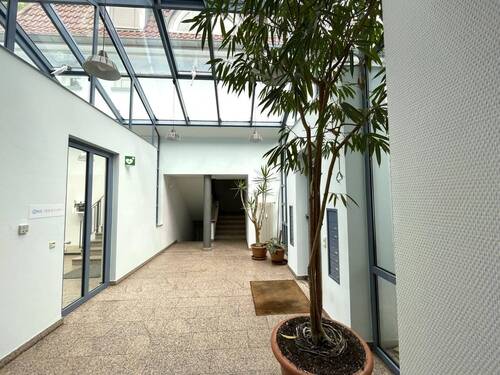 Eingangsbereich - 2 Zimmer Büro zur Miete in Dresden