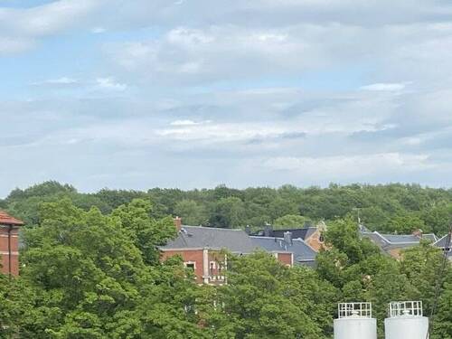 Blick aus dem Fenster - 