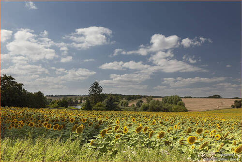 Strasse und Ausblicke_6140 - 