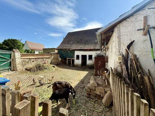 Hof mit Blick zur Scheune und den Hausziegen - 