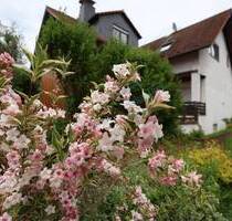 - Souterrain in Pfungstadt - - 700,00&nbsp;EUR Kaltmiete, ca.&nbsp; 65,60&nbsp;m&sup2;&nbsp;Wohnfl&auml;che in Pfungstadt (PLZ: 64319)