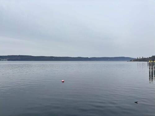 Ausblick auf den See - 