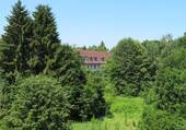 Ausblick vom Balkon - 