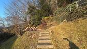 Bild 15 - 
