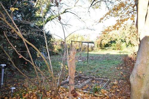 Garten - 6 Zimmer Einfamilienhaus zum Kaufen in Lindendorf OT Libbenichen