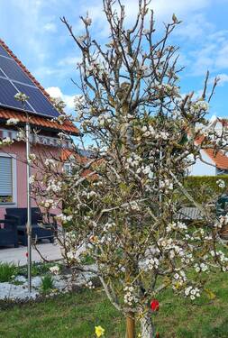 20210503_174442.jpg - Freist. EFH in ruhiger Lage von Feuchtwangen - zeitlich befristet zu vermieten