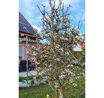 Freist. EFH in ruhiger Lage von Feuchtwangen - zeitlich befristet zu vermieten