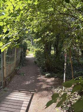 IMG_1566neu - 2 Zimmer Etagenwohnung zum Kaufen in Berlin