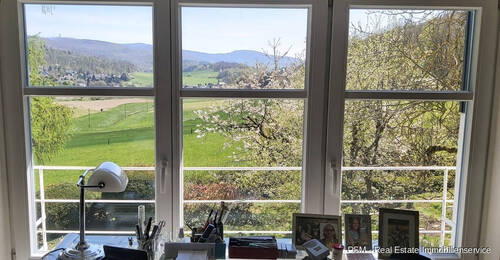 Tolle Aussicht vom Büro - 
