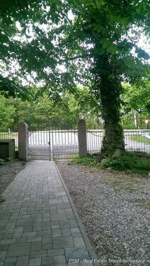 Der Eingang - 1 Zimmer Mehrfamilienhaus, Wohnhaus zum Kaufen in Waldems / Tenne