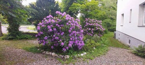 Der Vorgarten - Mehrfamilienhaus, Wohnhaus mit 300,00 m² in Waldems / Tenne zum Kaufen